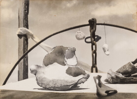A black-and-white photograph of a still life of bones and shells on a table in front of a curved metal pole from which hangs a chain.