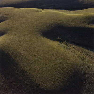 A color photograph of an aerial view of yellow-green grassy hills.
