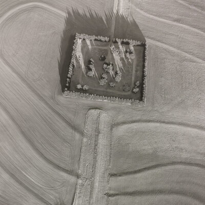 A black-and-white aerial photograph of a square copse of trees surrounded by farm land.