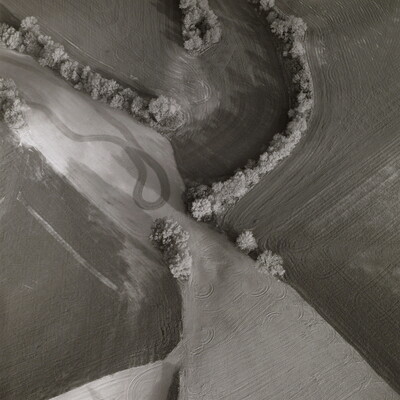 A black-and-white aerial photograph of prairie land and trees planted to create curvilinear shapes.