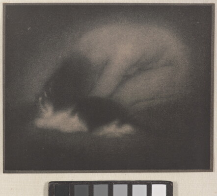 A very soft-focus black-and-white photograph of a nude White woman curled on the ground with a cat laying in front of her.