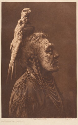 A sepia-toned portrait photograph of an Indigenous man in profile, a bird on his head, white face paint, hair in braids, wearing multiple necklaces and a fringed tunic.