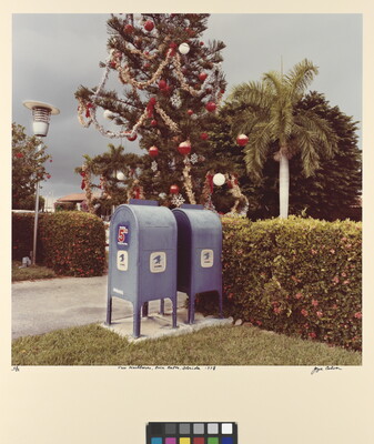A color photograph of two blue mailboxes next to a large Christmas tree with a palm tree in the background.