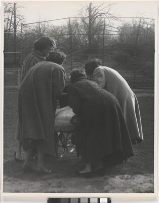 A black-and-white photograph of four women, backs to the viewer, bending down to look in a baby buggy.