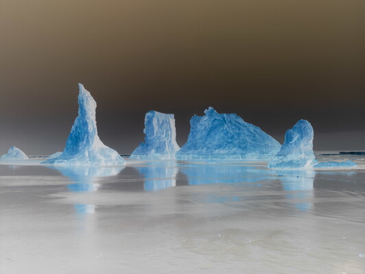 A color photograph of blue icebergs trapped in smooth gray ice in front of a dark gray sky.