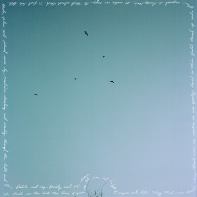 A square, color photograph of dark birds in a blue sky with the title words written in white around the perimeter.