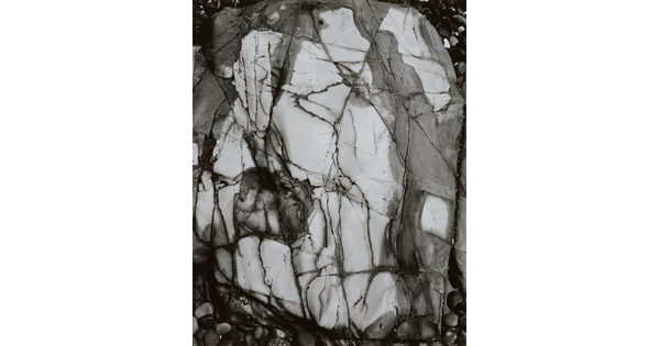 A black-and-white close-up photograph of a white rock with dark lines and cracks running through it.