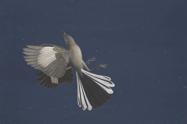 Scott Gentling (1942–2011), Stuart Gentling (1942–2006), Mockingbird, June 16, 1985