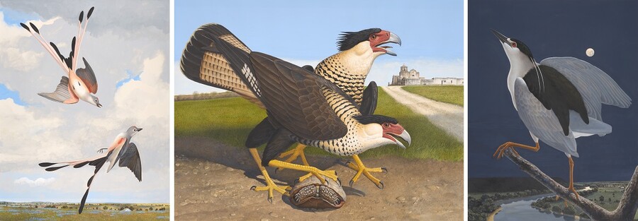 Three works on paper depicting Texas birds