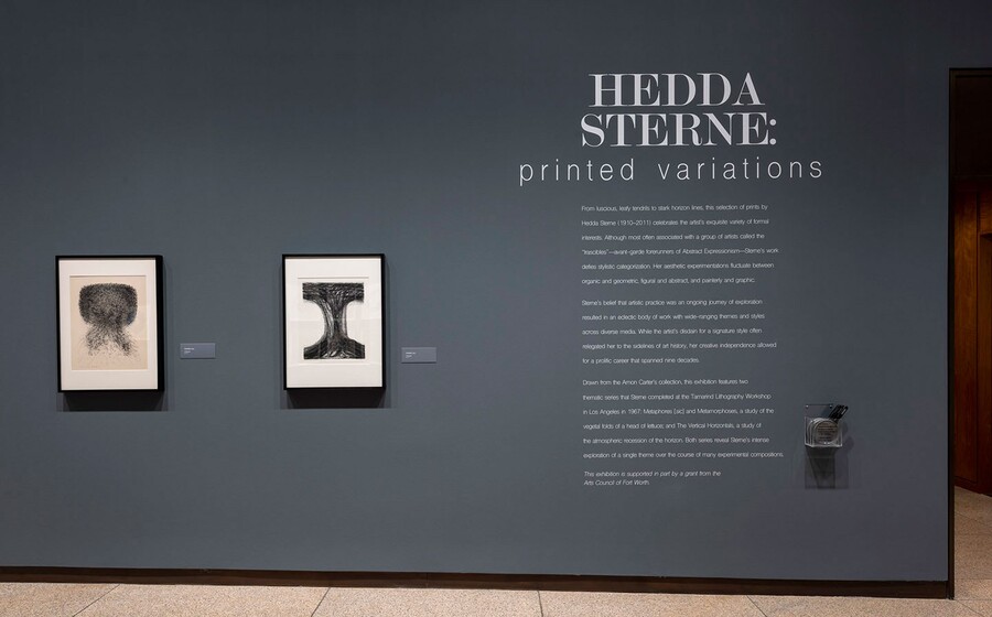 Exhibition title wall with title and introductory text to the right of two framed prints.