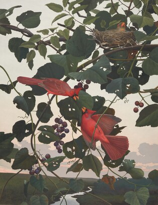 Cardinal, 1985