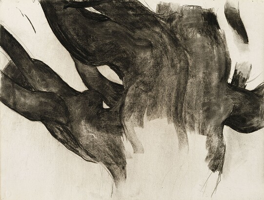 Charcoal image