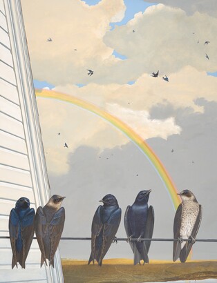 Purple Martin, 1985