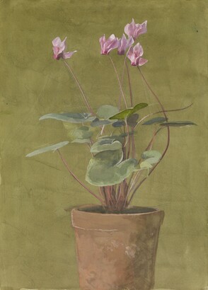 Fidelia Bridges, Pink Cyclamen, ca. 1875