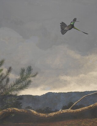 Stuart Gentling (1942–2006), Scott Gentling (1942–2011), Rivoli's Hummingbird (Magnificent Hummingbird), 1981