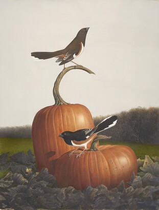 Scott Gentling (1942–2011), Rufous-sided Towhee, Dec. 1983