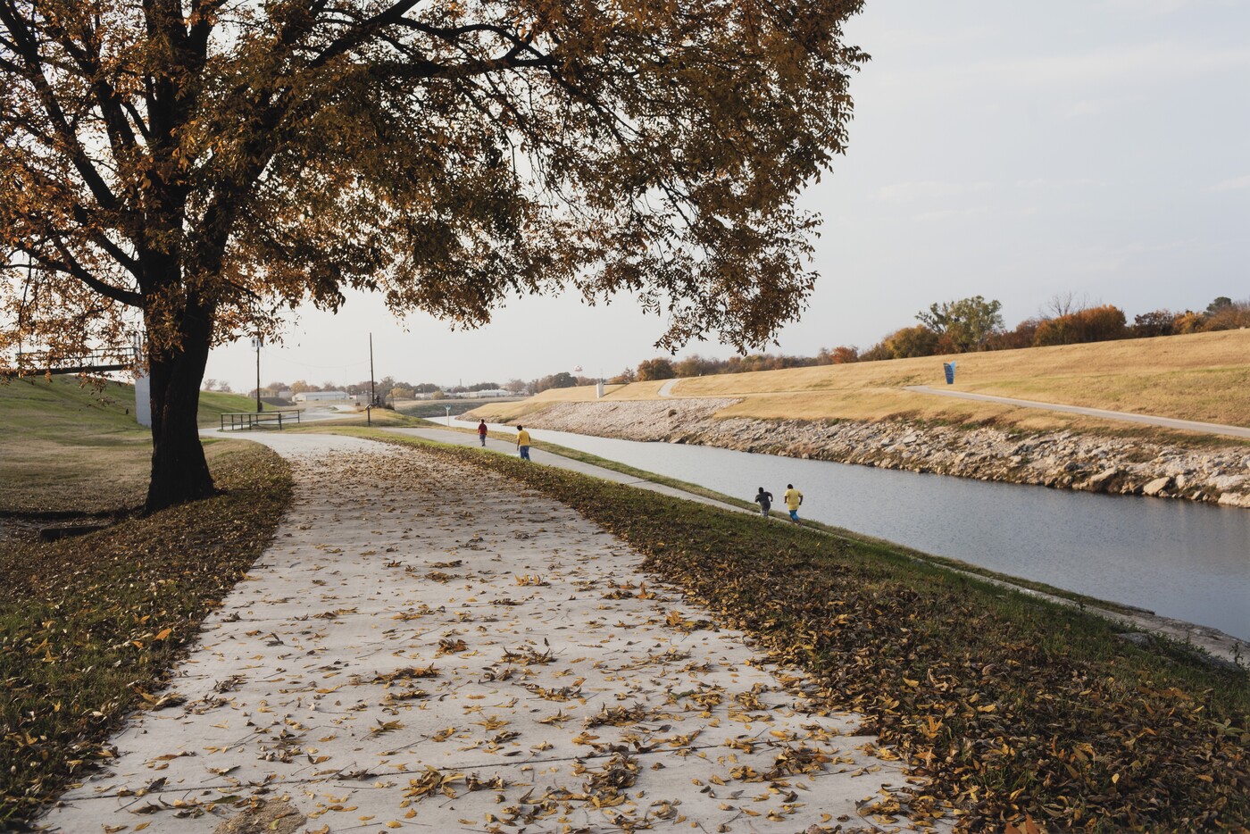 Terry Evans (b. 1944), Running, West Fork near White Settlement Road, Trinity River, November 21, 2013, 2014, Inkjet print