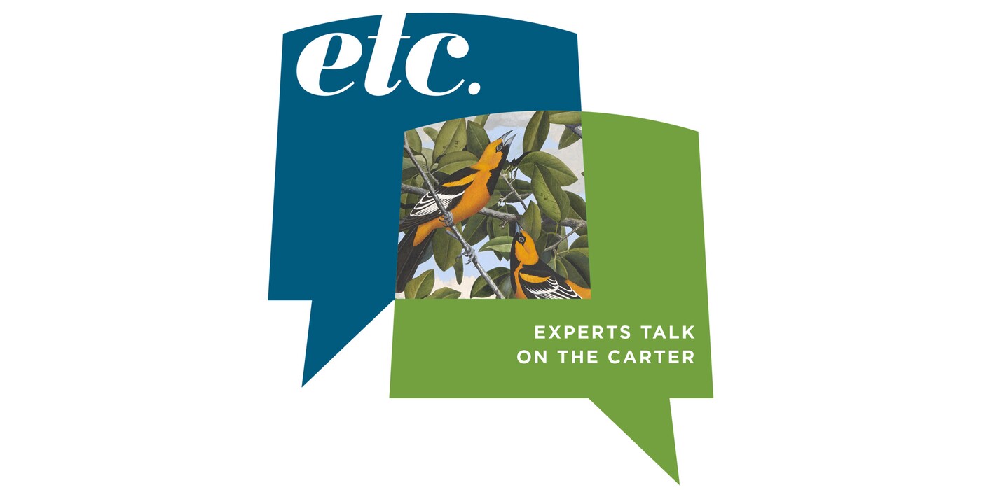 Two graphic thought bubbles: A blue one with the letters, "etc."; and a green one with the words, "Experts Talks on the Carter" and an illustration of birds