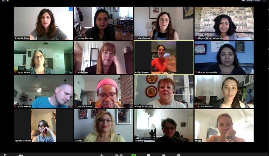 Screenshot of Zoom call with 16 different participants
