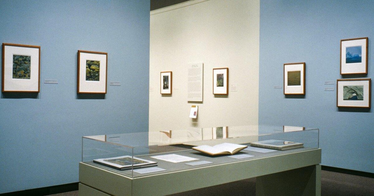 Eliot Porter: The Color Of Wildness Reveals Artist's Groundbreaking ...