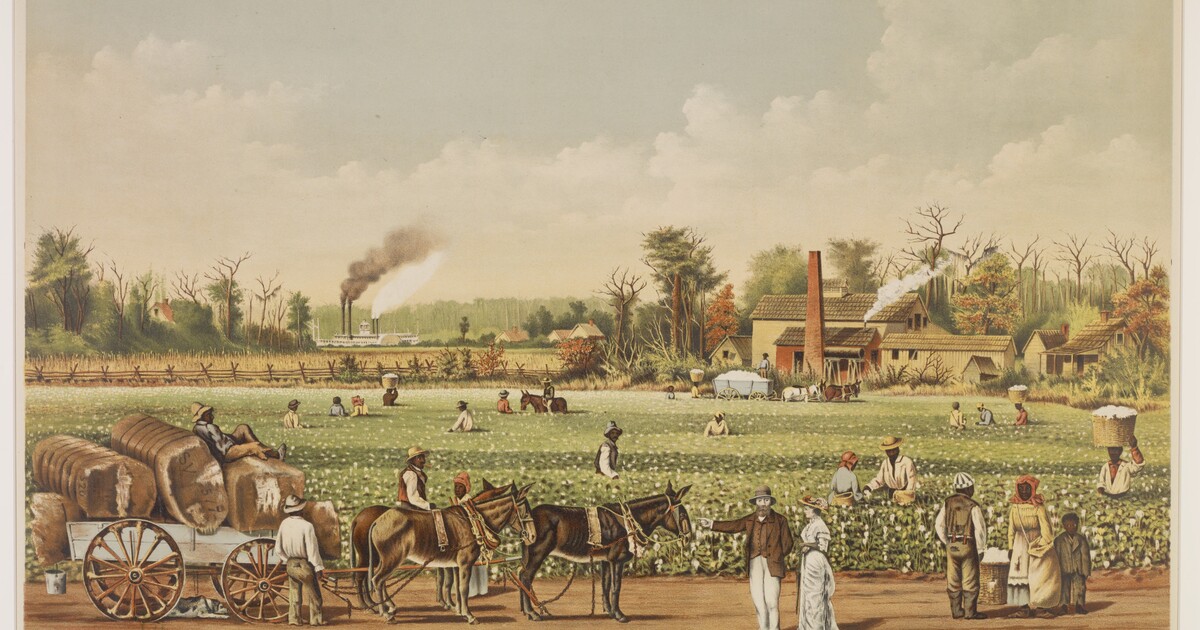 A Cotton Plantation on the Mississippi. Amon Carter Museum of American Art