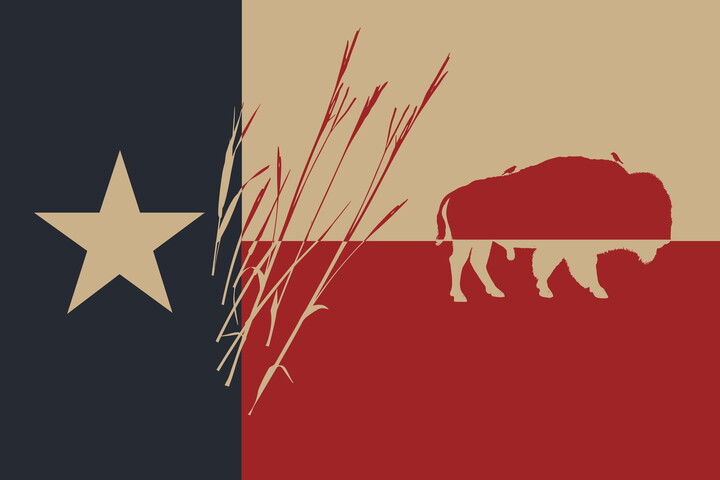 A graphic of the Texas state flag with the silhouette of a bison and tall prairie grass over the red and cream blocks.