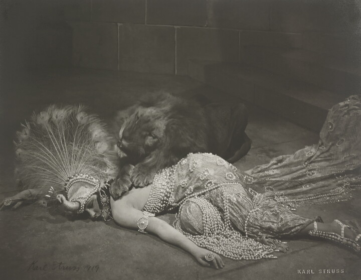A black-and-white photograph of an elaborately dressed White woman lying on the floor with a lion lying across her back.