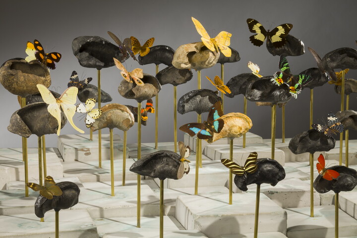 Multiple bones mounted atop gold rods with butterflies attached to each creating a sort of "forest."